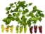 Picture of Lyon Challenge Elements